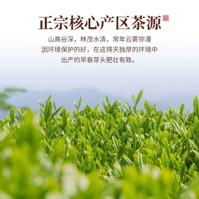 福建茉莉飘雪 特级 罐装 500g