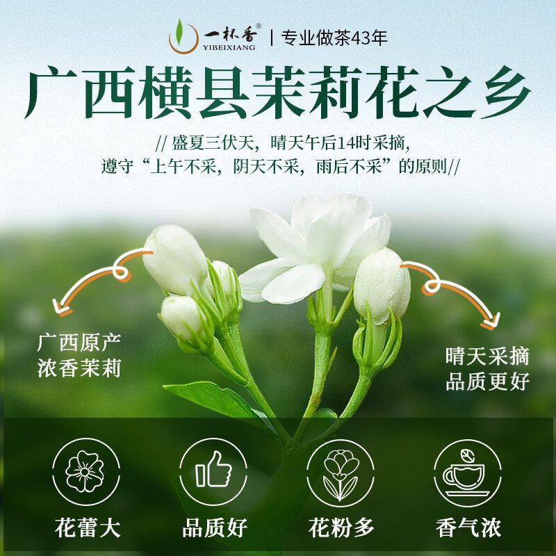 广西横县茉莉花茶 特级 礼盒装 500g
