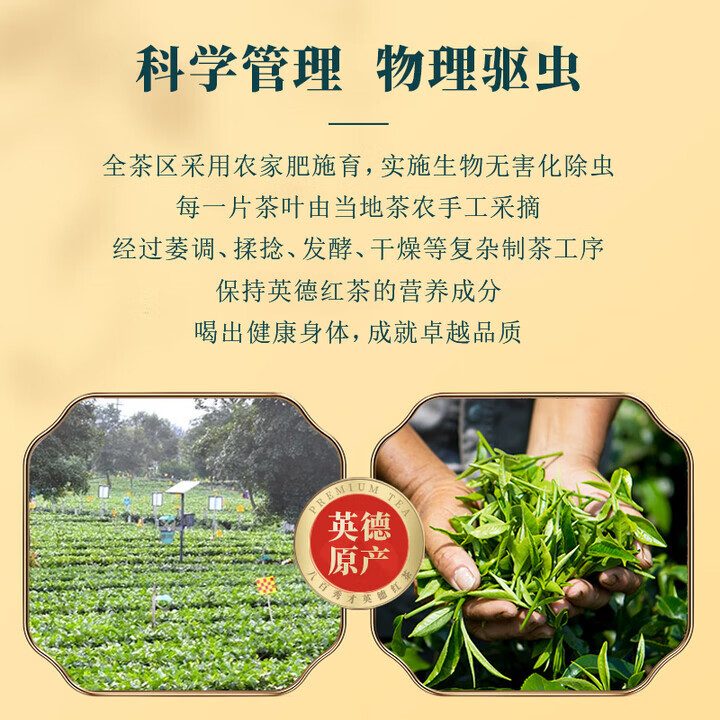 福建武夷山金骏眉 特级 袋装 250g
